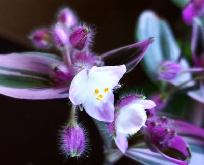 g13/79/738779/3/174498269.4f066df7.JPEG