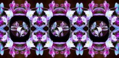 g13/79/738779/3/174498271.fc6b6f81.JPEG