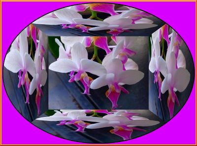 g13/79/738779/3/174498274.54da3d9e.JPEG
