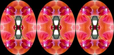 g13/79/738779/3/174498278.718a2c81.JPEG