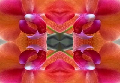 g13/79/738779/3/174498279.87a11cfd.JPEG