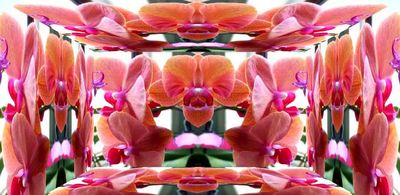 g13/79/738779/3/174498280.ef01ca96.JPEG