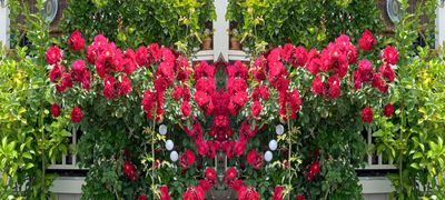 g13/79/738779/3/174504146.6ebd8f04.JPEG