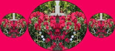 g13/79/738779/3/174504147.7960cb3a.JPEG