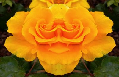 g13/79/738779/3/174504150.5ffbab2c.JPEG