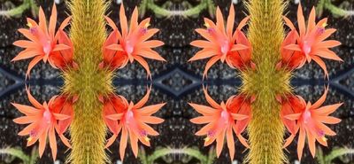 g13/79/738779/3/174505070.9c224af6.JPEG