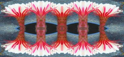 g13/79/738779/3/174507725.24e9b266.JPEG