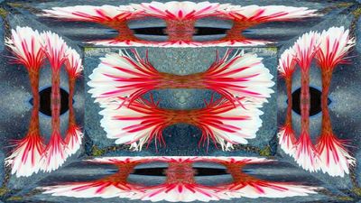 g13/79/738779/3/174507726.3ff12fb5.JPEG