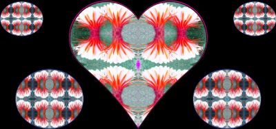 g13/79/738779/3/174507761.6782d11e.JPEG