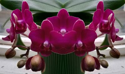 g13/79/738779/3/174524486.c56712e2.JPEG