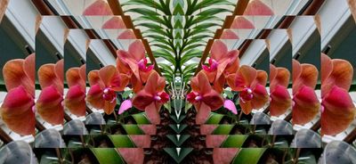 g13/79/738779/3/174524627.938b91d7.JPEG