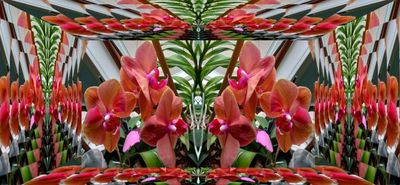 g13/79/738779/3/174524628.24268da9.JPEG