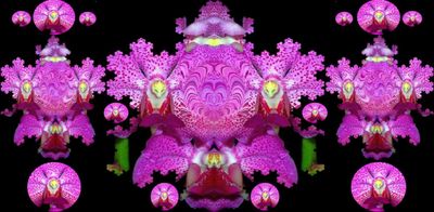 g13/79/738779/3/174529899.660f63e4.JPEG