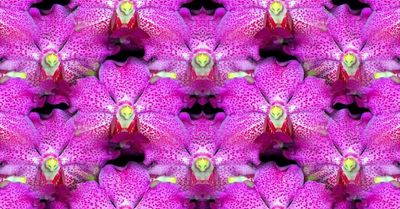 g13/79/738779/3/174529901.7ce572c4.JPEG