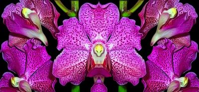 g13/79/738779/3/174529903.4449fae2.JPEG