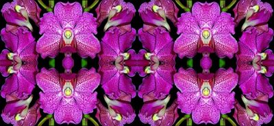 g13/79/738779/3/174529904.eb2fc46b.JPEG