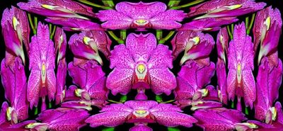 g13/79/738779/3/174529905.8d459cca.JPEG