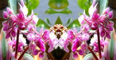 g13/79/738779/3/174534402.5f197ee5.JPEG