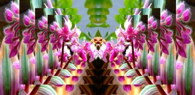 g13/79/738779/3/174534406.309e694c.JPEG