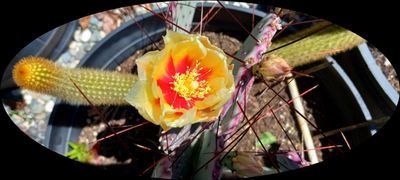 g13/79/738779/3/174536935.27e0f578.JPEG