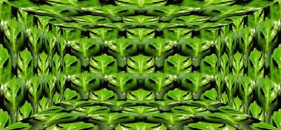 g13/79/738779/3/174547572.226a25ed.JPEG