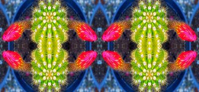 g13/79/738779/3/174550033.f8061b1a.JPEG