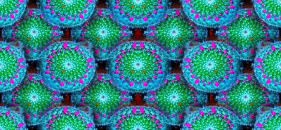 g13/79/738779/3/174550038.f69d383f.JPEG