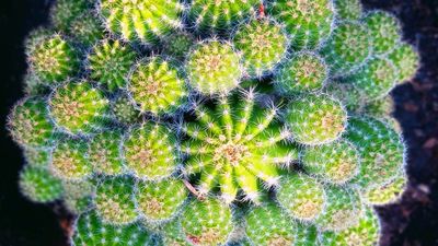 g13/79/738779/3/174550123.670e99d9.JPEG