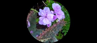 g13/79/738779/3/174550153.779d3b8f.JPEG