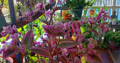 g13/79/738779/3/174550158.d39a6e38.JPEG