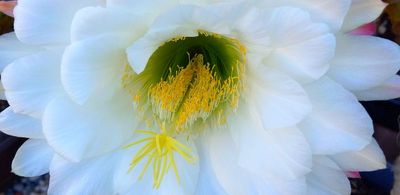 g13/79/738779/3/174555076.f771a9f5.JPEG
