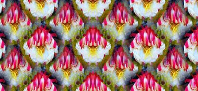 g13/79/738779/3/174558292.ee5e721f.JPEG