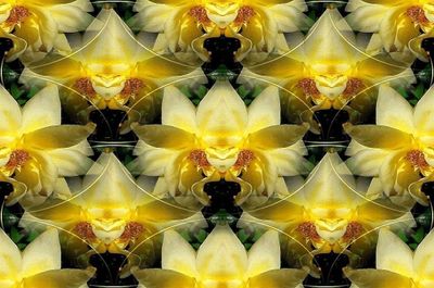 g13/79/738779/3/174558725.ab393e8e.JPEG