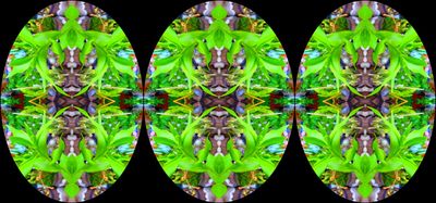 g13/79/738779/3/174561551.ab49a62f.JPEG
