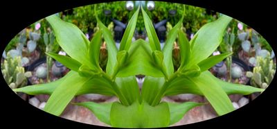 g13/79/738779/3/174561552.56c5871c.JPEG