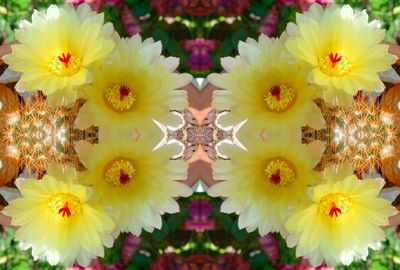 g13/79/738779/3/174563780.ce306f4b.JPEG
