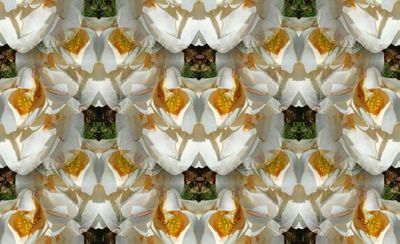 g13/79/738779/3/174566754.a4f1e8c0.JPEG