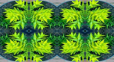 g13/79/738779/3/174571481.414a4c9d.JPEG
