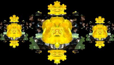 g13/79/738779/3/174585983.2a9ac205.JPEG