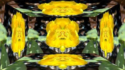 g13/79/738779/3/174585984.9482ae11.JPEG