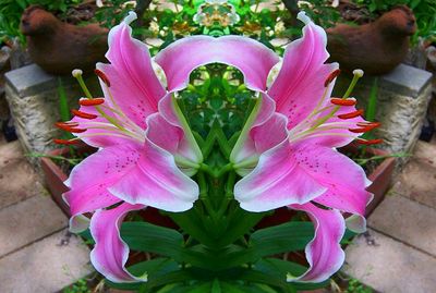 g13/79/738779/3/174588864.7999f00b.JPEG