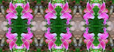 g13/79/738779/3/174588865.c020ec5c.JPEG