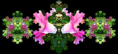 g13/79/738779/3/174588867.1da58805.JPEG