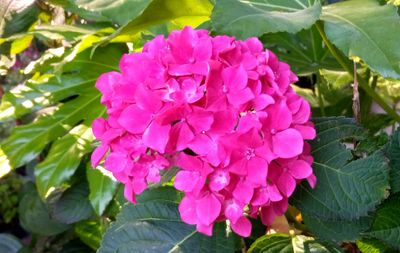g13/79/738779/3/174592013.686ba6d9.JPEG