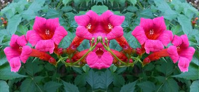 g13/79/738779/3/174592138.c4c9be85.JPEG