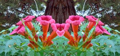 g13/79/738779/3/174592139.350f3e6e.JPEG