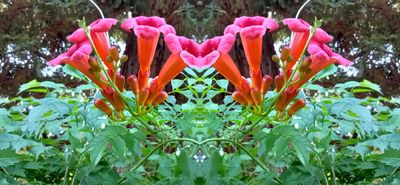 g13/79/738779/3/174592140.2451f7b2.JPEG