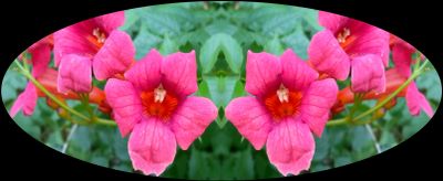 g13/79/738779/3/174592141.9f7c6d78.JPEG