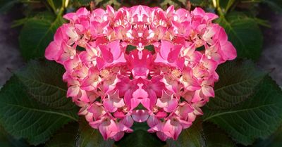 g13/79/738779/3/174594367.525ea61a.JPEG