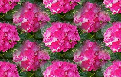 g13/79/738779/3/174594368.7d0f8dd7.JPEG